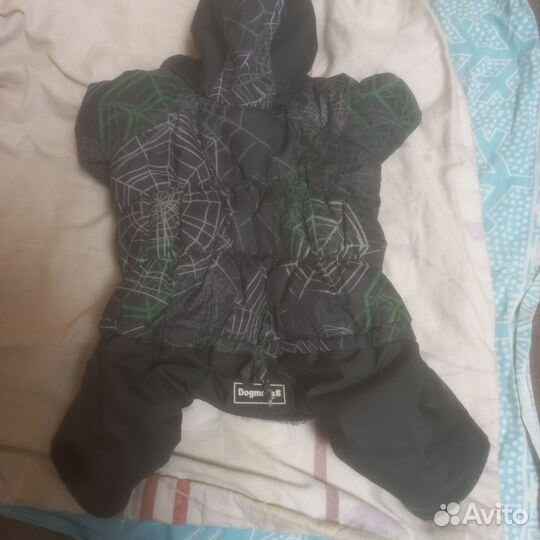 Одежда для маленьких собак