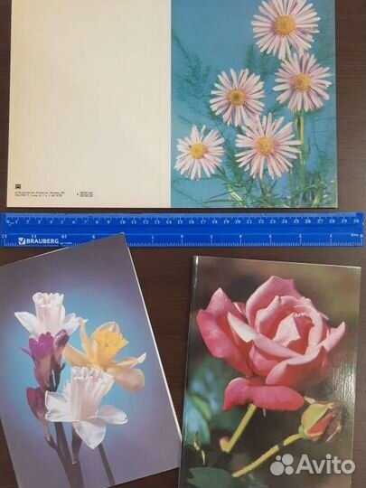 Открытки СССР