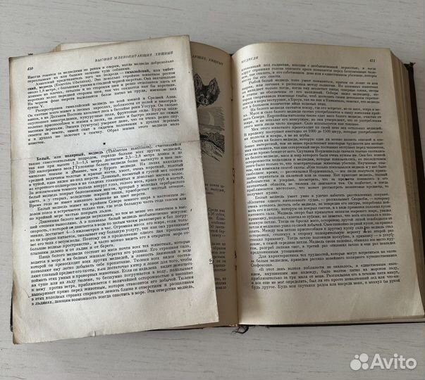 Энциклопедия Жизнь животных 1941 год