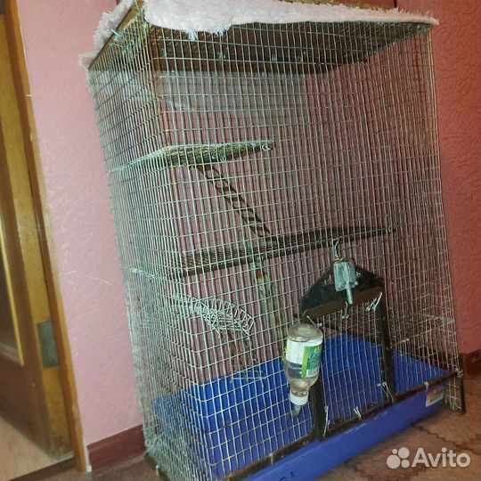 Клетка для грызунов большая