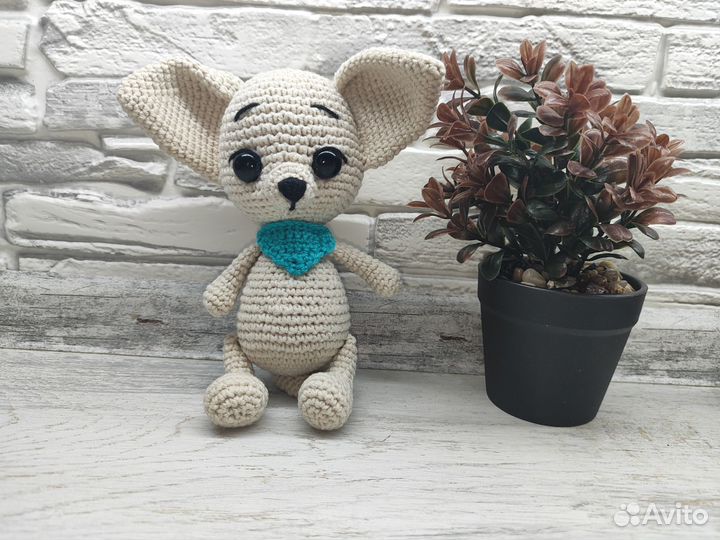 Маленький фенек