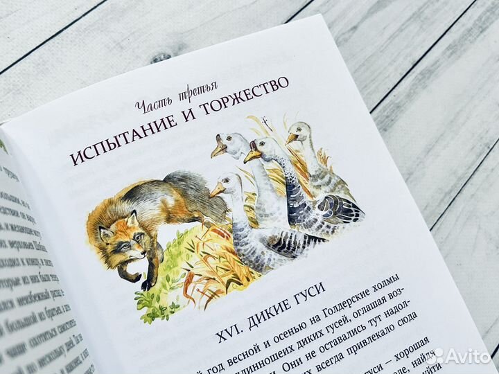 Э. Сетон-Томпсон