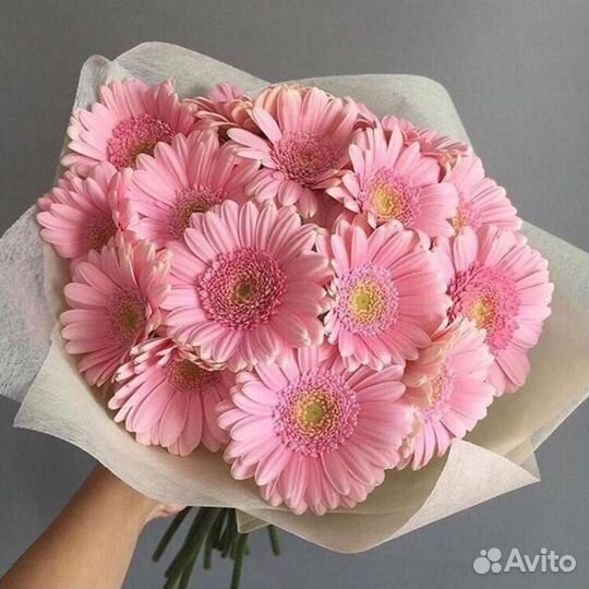 Гербера, букет из гербер, цветы, доставка букета