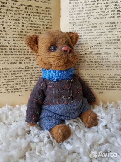 Кот Тимофей