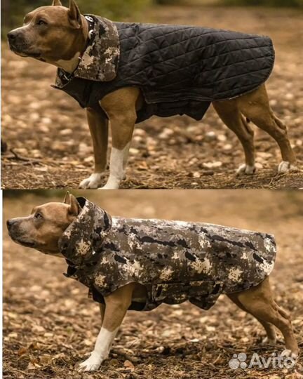 Попона для собак новая комбинезон куртка