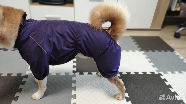 Комбинезон для собаки средних пород