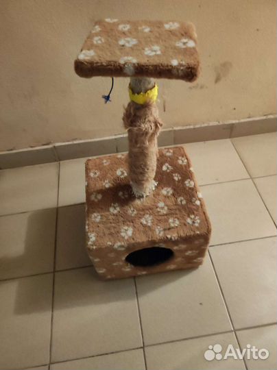 Домик для кошки с когтеточкой бу