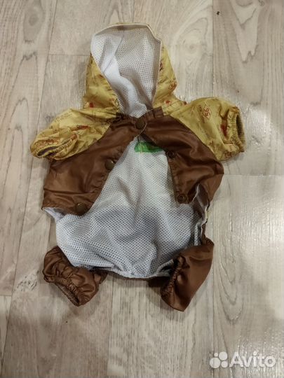 Одежда для собак