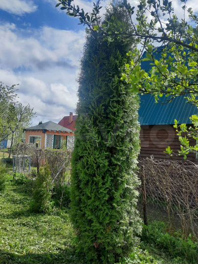 Дом 20 м² на участке 6 сот.