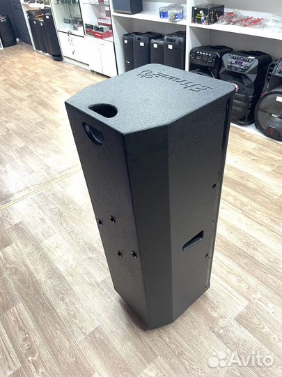 Профессиональная Аудиосистема Эстрадная