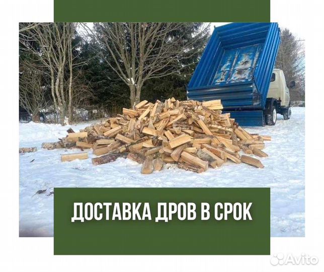 Дрова колотые березовые