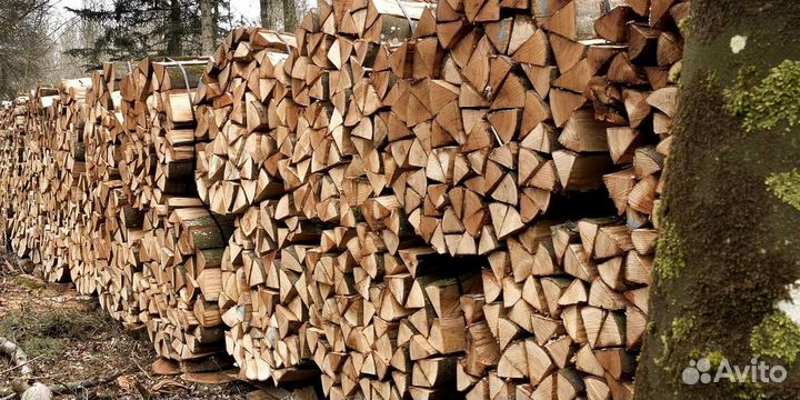 Дрова с Зеленогорска