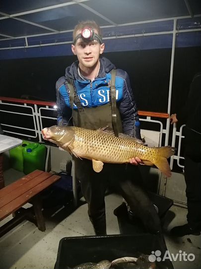 Рыбалка и охота в Астрахани. Аренда катера