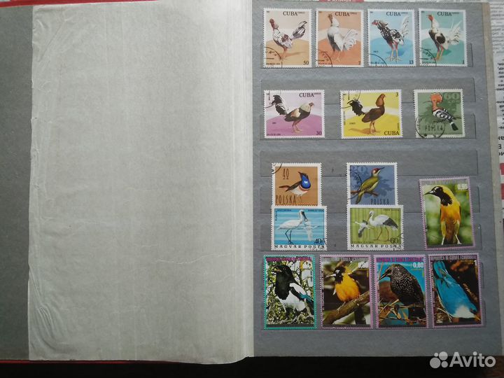 Альбом для марок 4