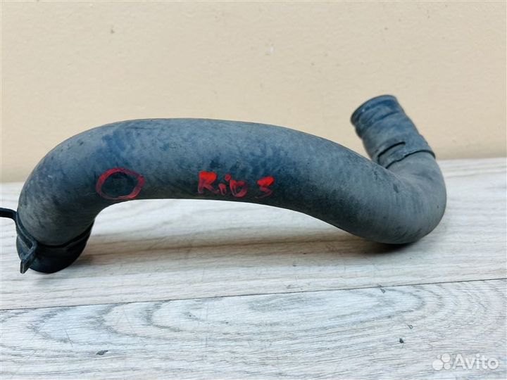 Патрубок радиатора нижний Hyundai Solaris 1