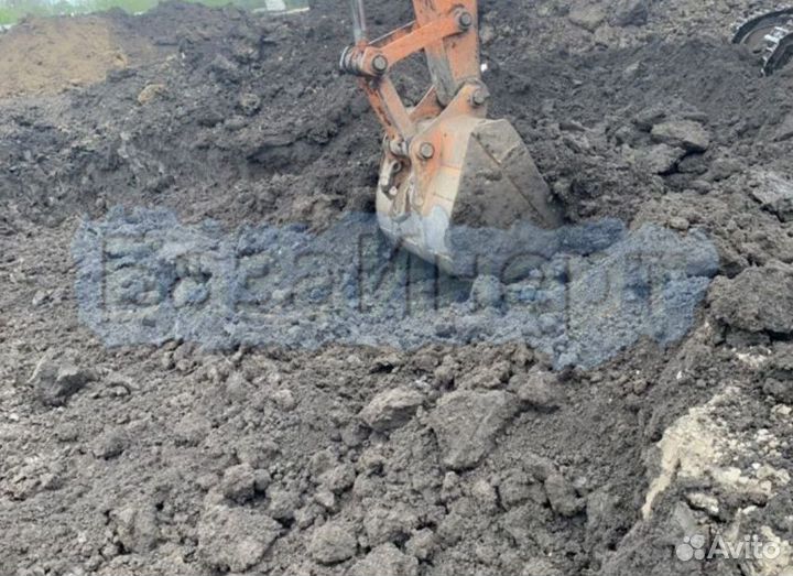 Плодородный кубанский чернозем