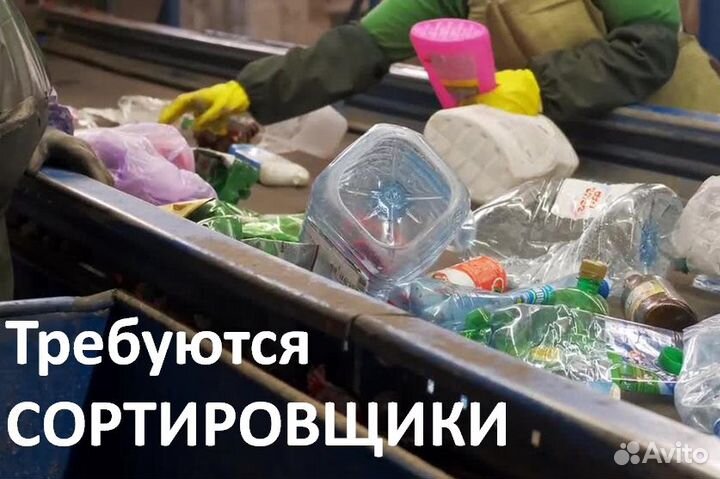 Сортировщик (сортировщица)