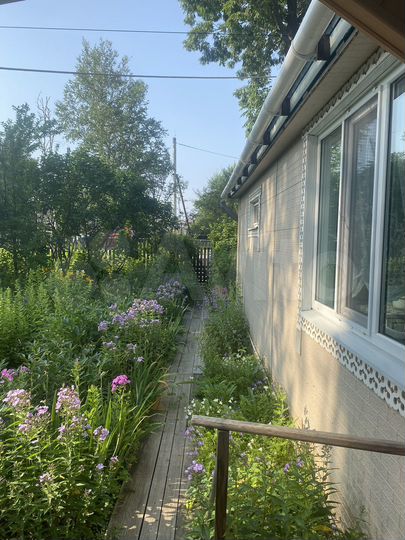 Дом 49 м² на участке 12 сот.