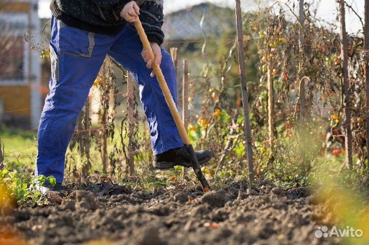 Торфогрунт