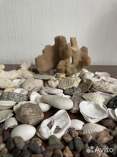 Для аквариумов. Морские камни, коряга, кораллы