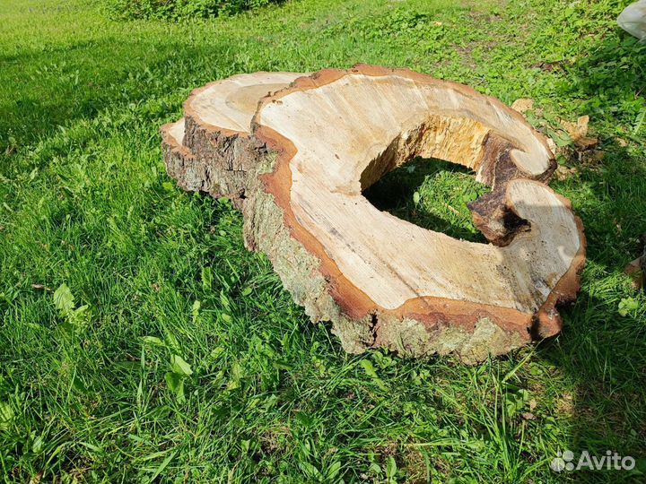 Спилы березы, слэбы