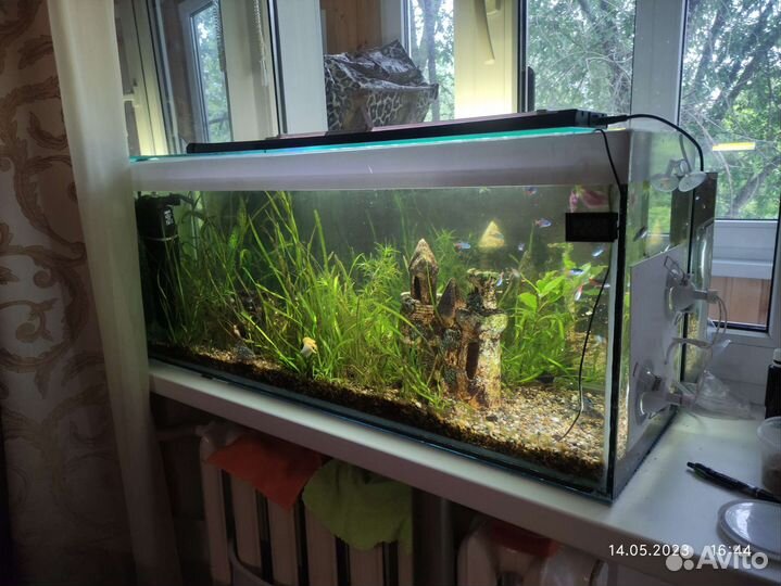 Аквариум