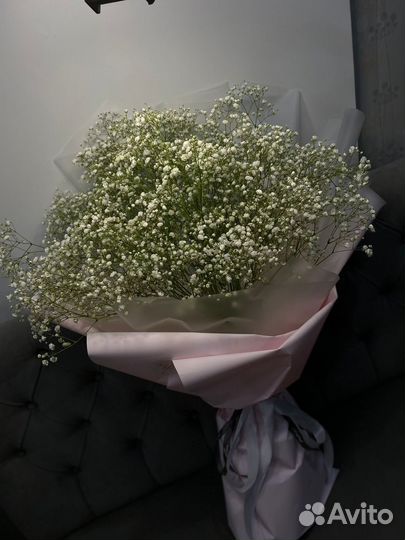 Гипсофилы, цветы, букет гипсофил, доставка цветы