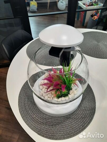 Аквариум для рыбок