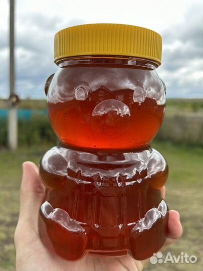 Мёд Башкирский цветочный
