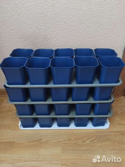 Горшки для кактусов