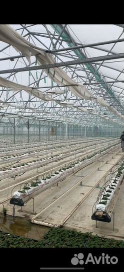 Тепличный комплекс