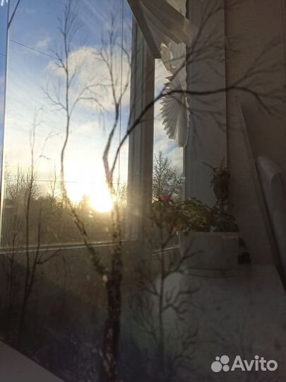 Зеркало, картина, арт-объект