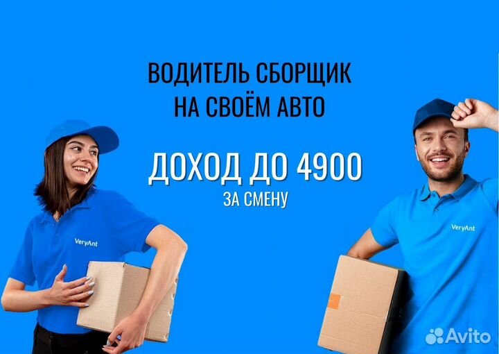 Водитель легкового автомобиля со своим авто