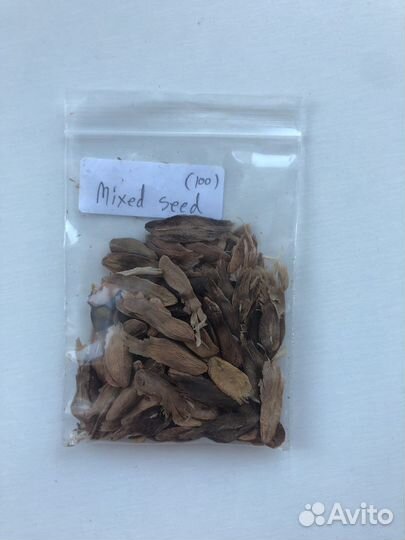 Плюмерия Микс и сортовые