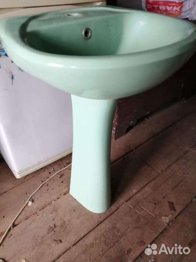 Раковина тюльпан