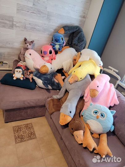 Гуси в разных расцветках, кот в акуле, сова, шлёпа