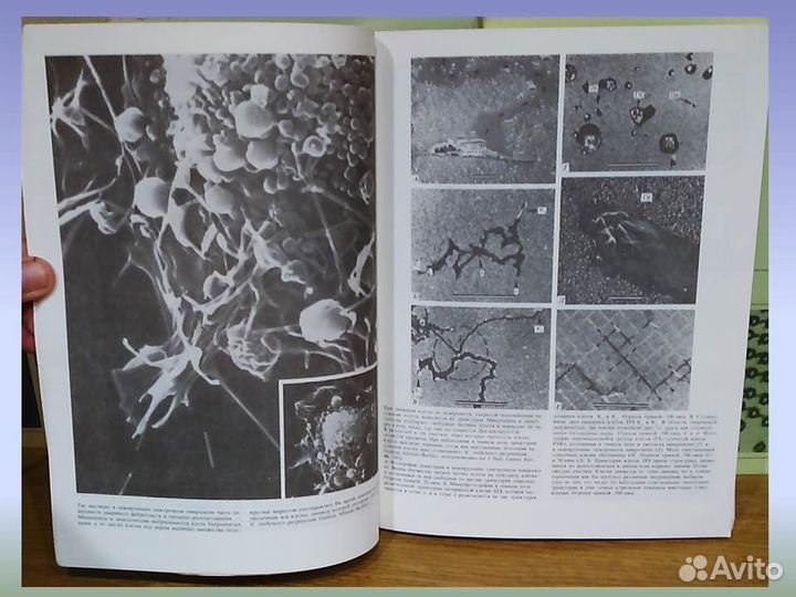 Молекулярная биология клетки в 5ти томах Албертс
