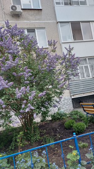 2-к. квартира, 52,7 м², 1/5 эт.