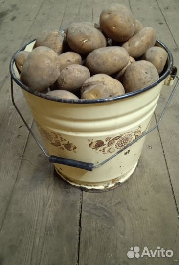 Картофель с доставкой