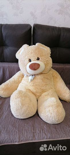 Плюшевый медведь