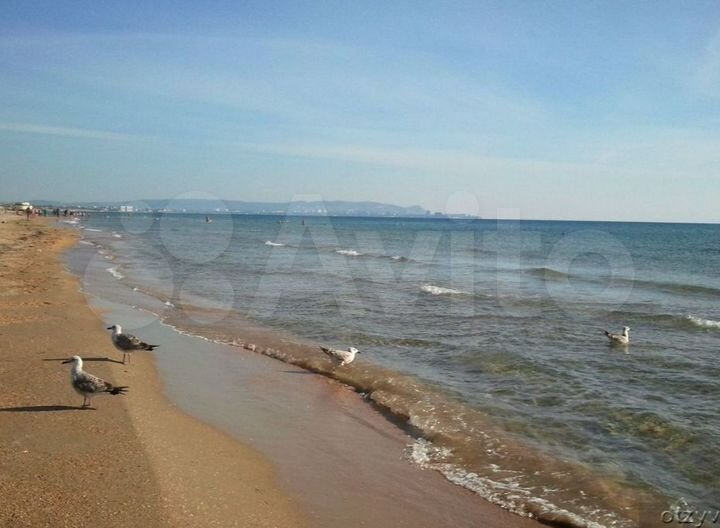 Комната 20 м² в 4-к., 1/2 эт.