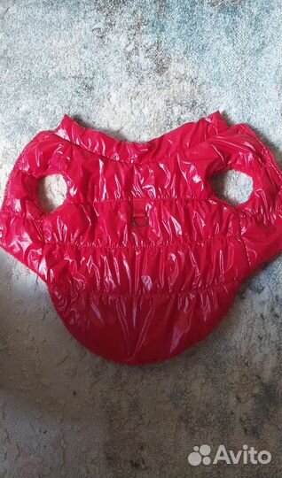 Одежда для собак мелких пород