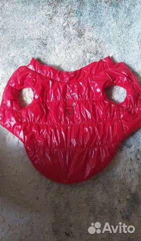 Одежда для собак мелких пород