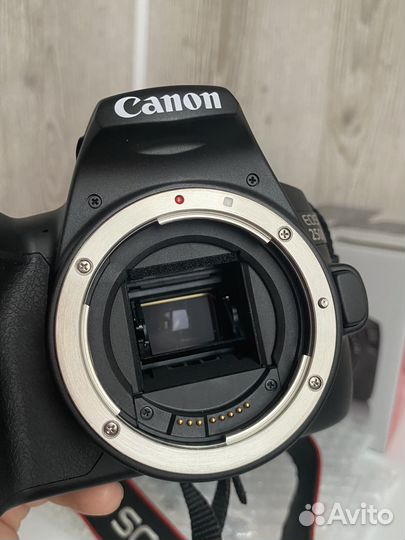 Зеркальный фотоаппарат canon eos 250d kit