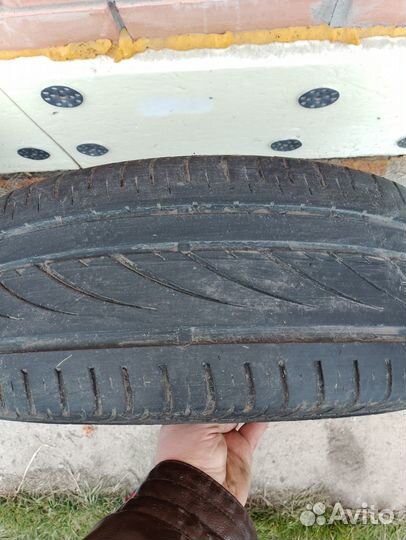 Continental PremiumContact 6 205/55 R16