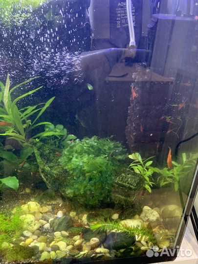 Аквариум