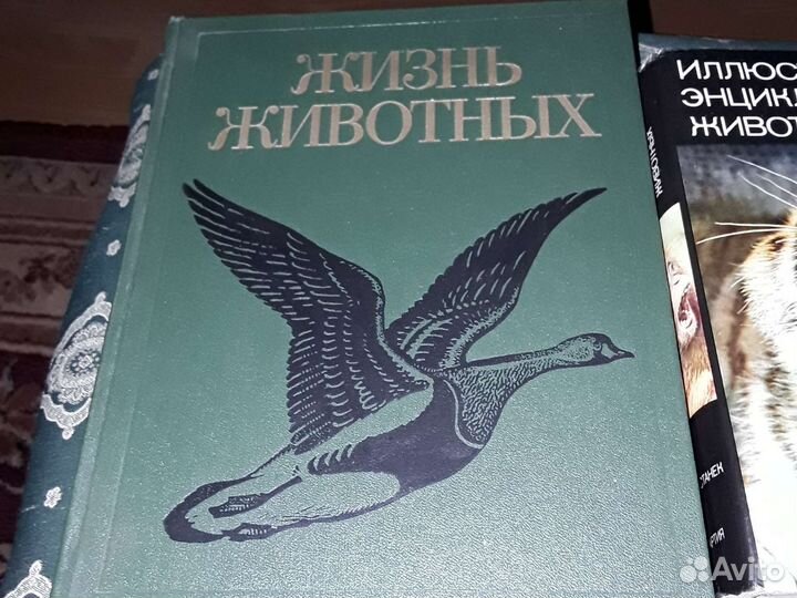 Книги.Энциклопедия животных.Жизнь животных