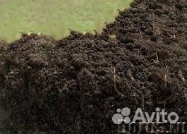 Грунт для газона
