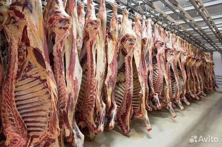 Говядина полутуши охлажденное