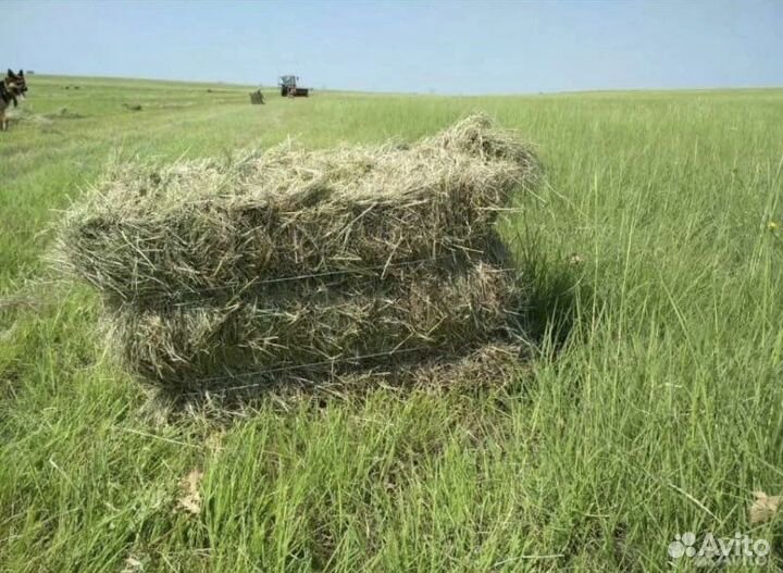 Сено люцерны в тюках